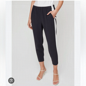 ARITZIA Babaton Dexter pants black with white stripes Size XXS